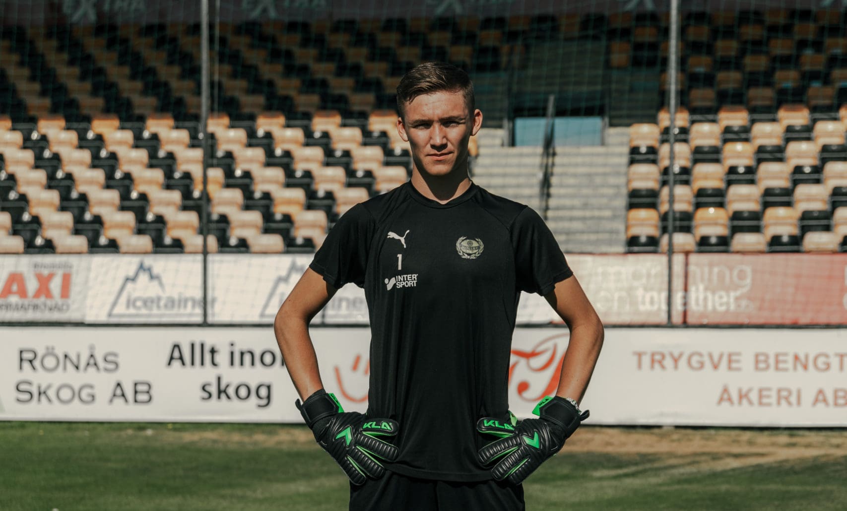 Noel Törnqvist